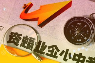 重点部署新能源、数字经济地方两会绘就产业发展蓝图